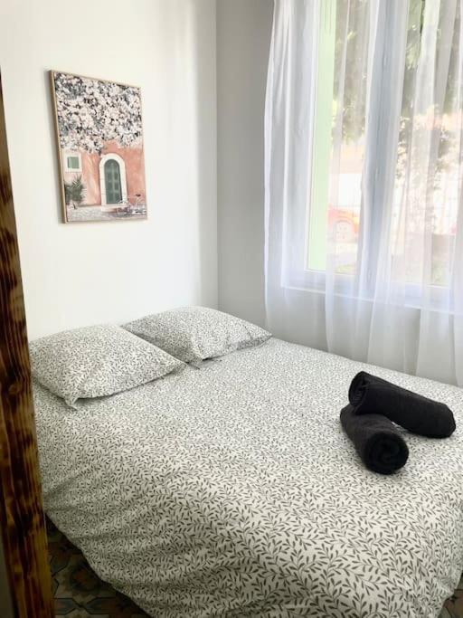 Le Briguiboul Apartment Castres  Bagian luar foto
